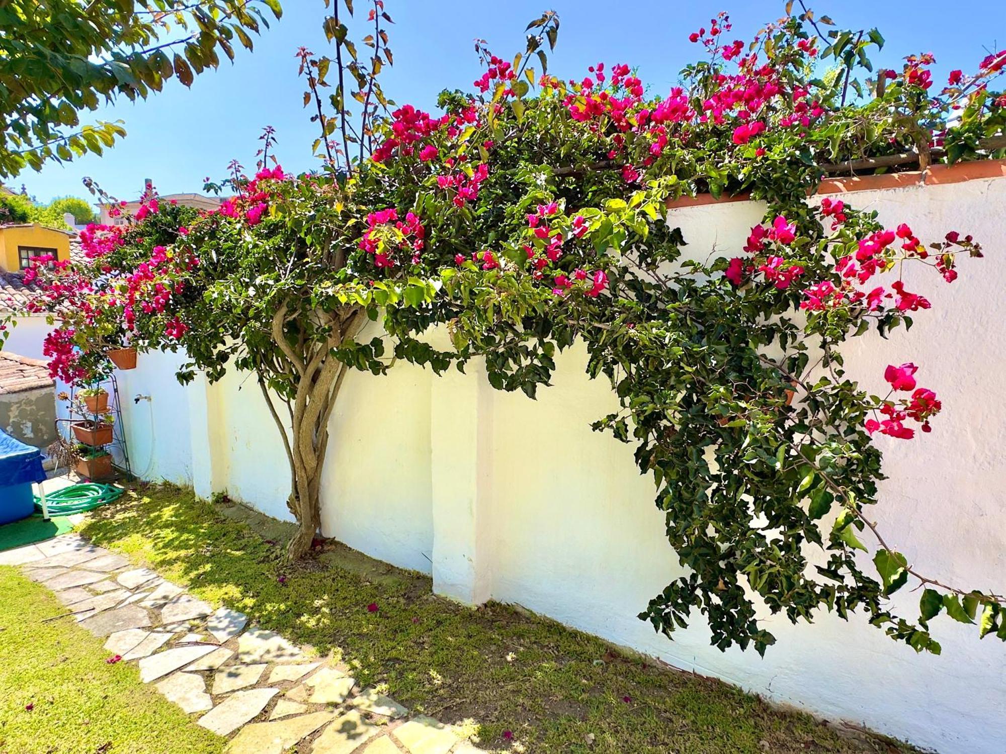 Casa Do Candeeiro Óbidos Esterno foto